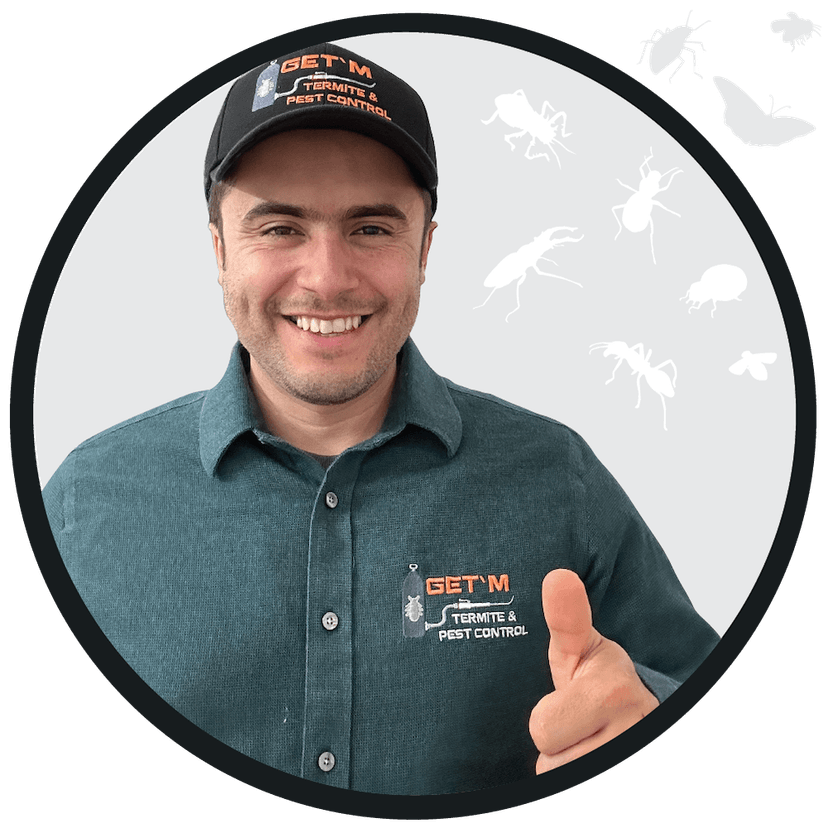 Jersey City pest control, exterminator local service near me Get'm