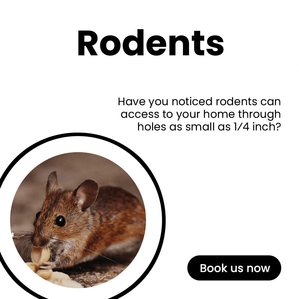 Get'm pest control