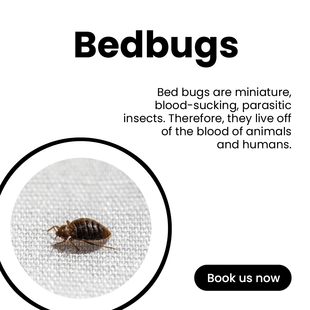 Get'm pest control