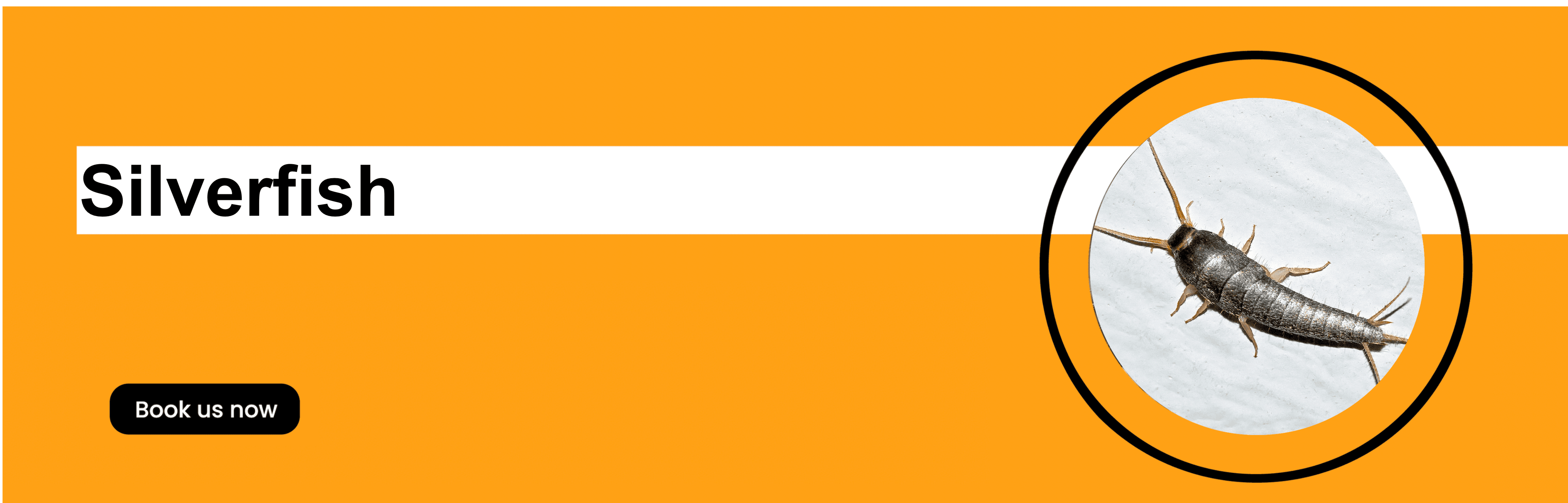 Get'm pest control Get'm pest control