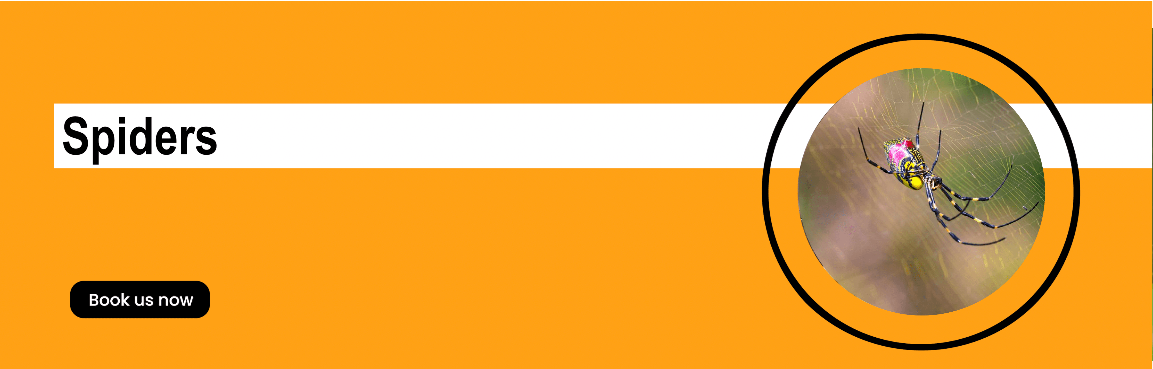 Get'm pest control Get'm pest control