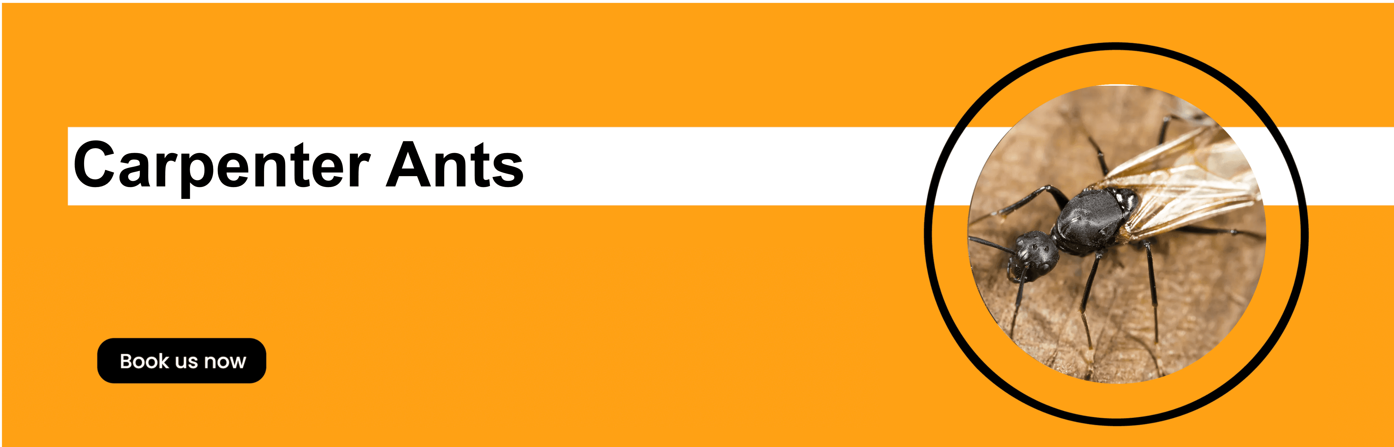 Get'm pest control Get'm pest control