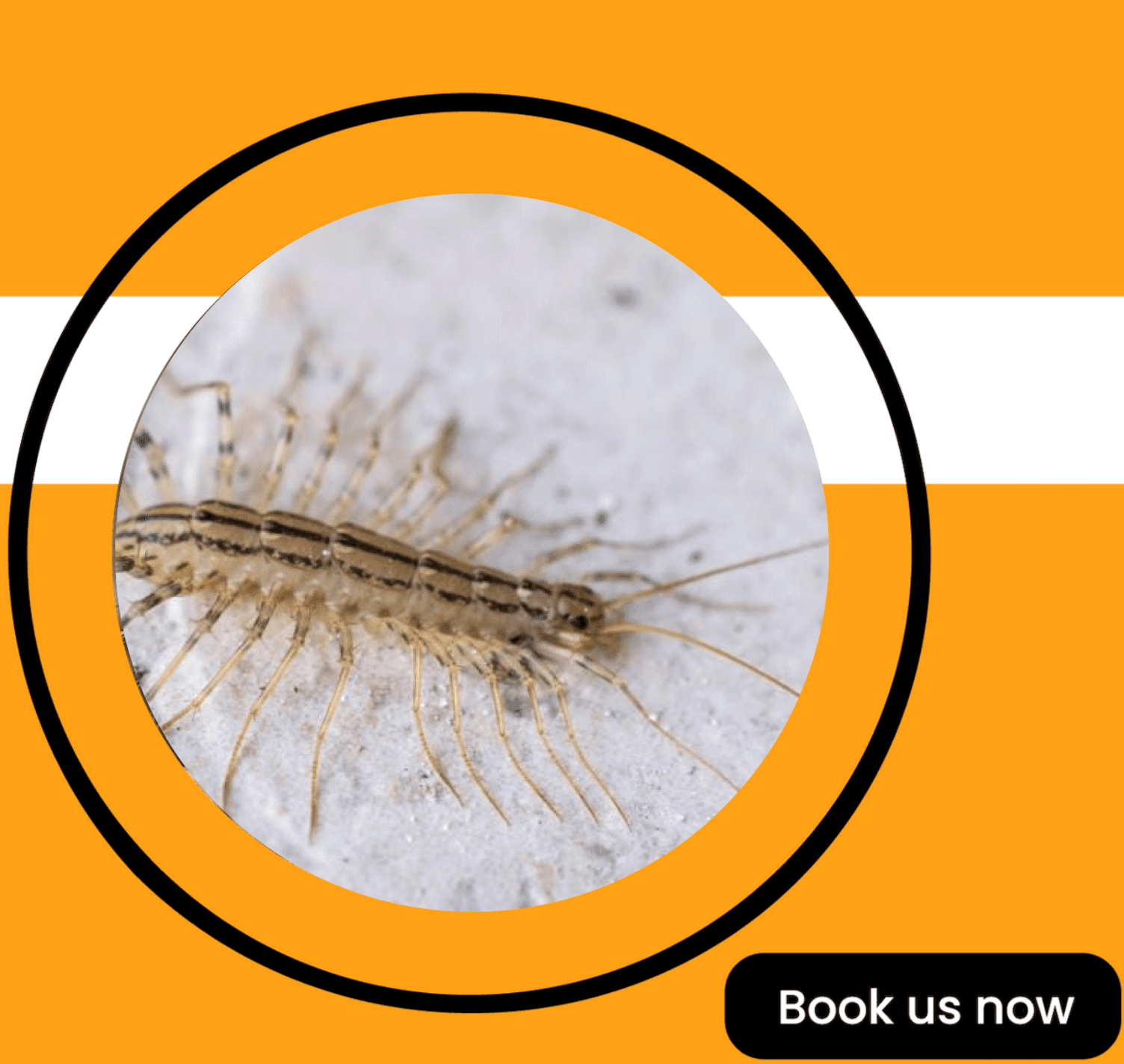 Get'm pest control Get'm pest control