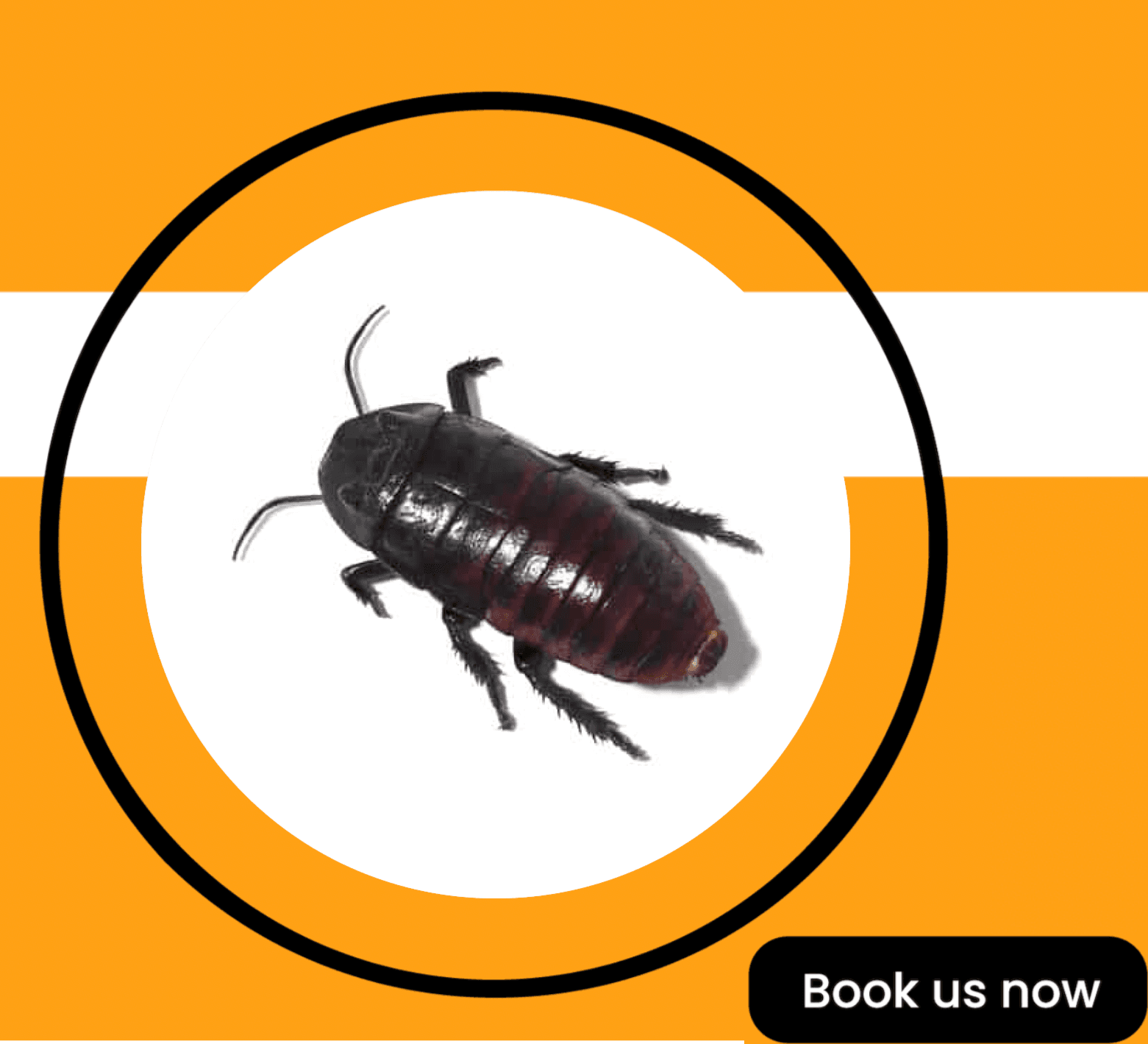 Get'm pest control Get'm pest control