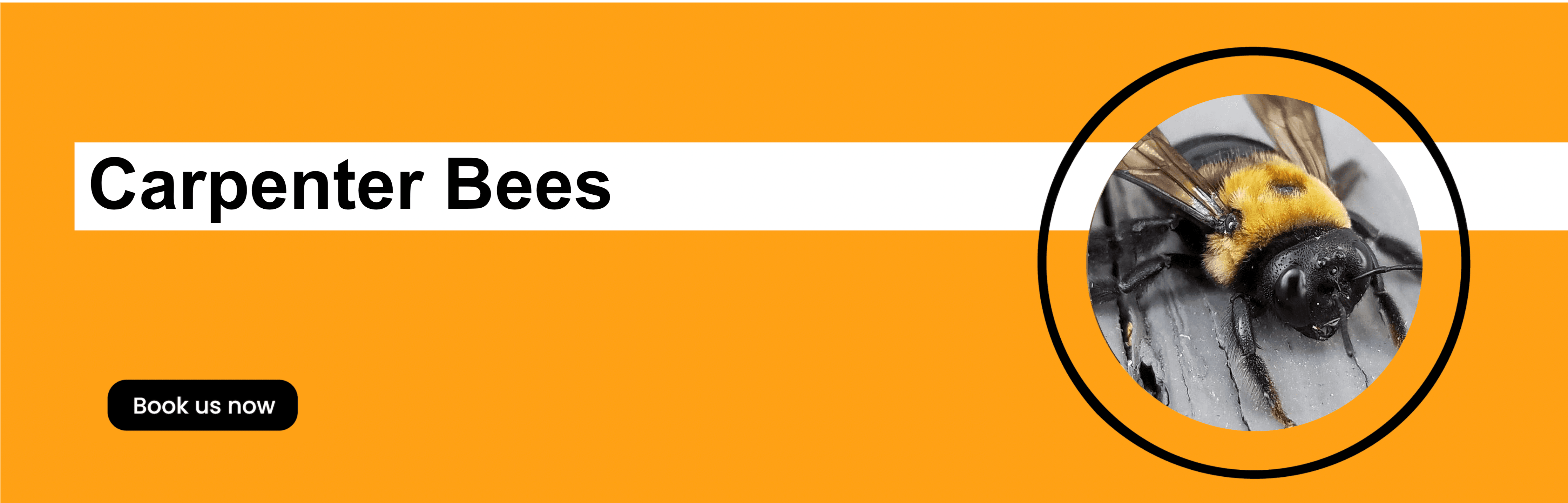 Get'm pest control Get'm pest control