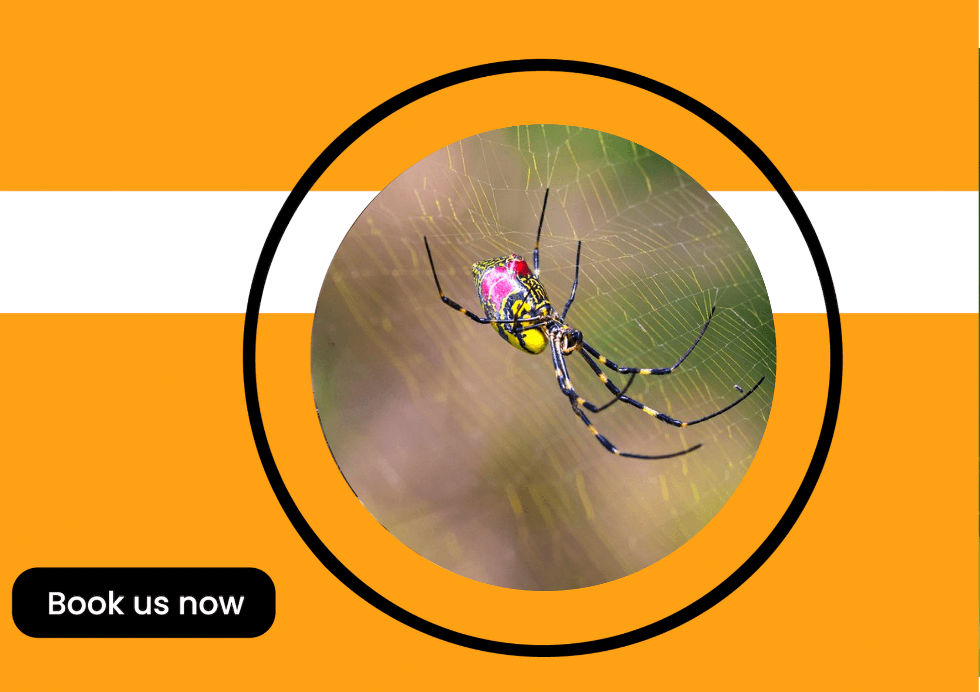 Get'm pest control Get'm pest control