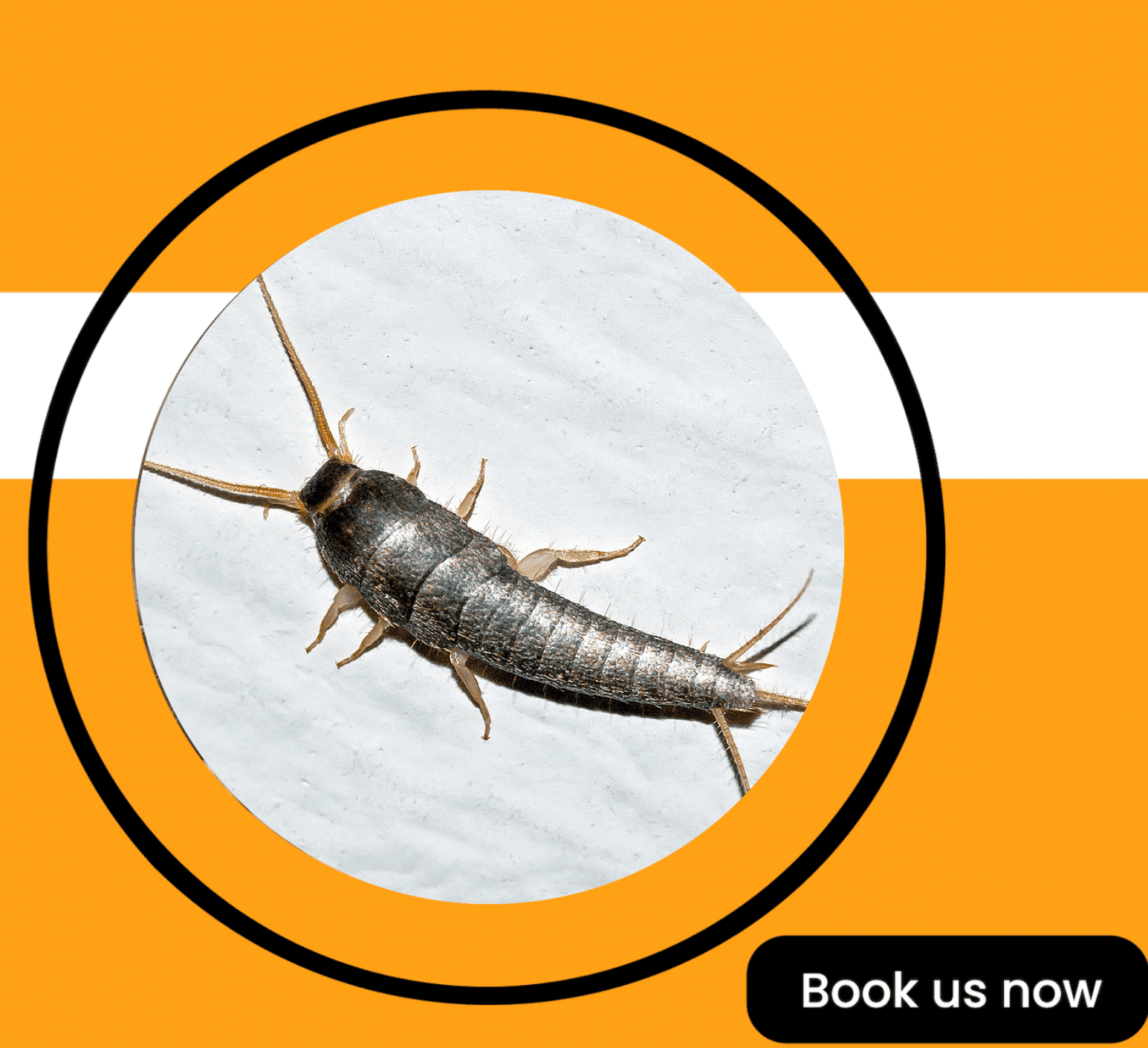 Get'm pest control Get'm pest control